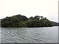 Wooded promontory on the River Fal