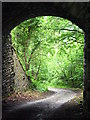 View under bridge carrying Sirhowy Valley Walk