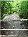 Sirhowy  River seen from bridge.