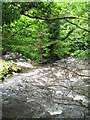 Tributary entering the Sirhowy River