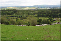 G1801 : Farmland and forestry looking east from Gort by Liz McCabe