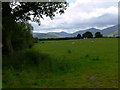 Fields At Cefn Cantref