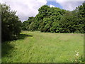 Field beside the West Lew