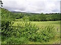 Tonlisderritt Townland