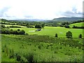 Whitehill Townland