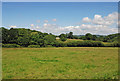 Farmland on Hart Hill