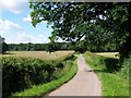 Lane near East Tytherley