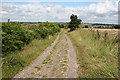 Above Munsbrough Lane