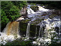 Bonnington Linn, Falls of Clyde