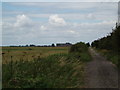 Lane to Reedness Moor  former Peat works in background