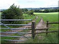 Footpath Near Consall