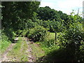 Public Footpath, Spoonhill Wood, Shropshire