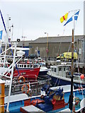 HY4411 : Fishing Boats in Kirkwall Harbour by Colin Smith