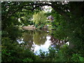 Houses and their gardens line the Tees at Yarm