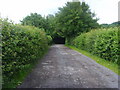 Bridleway to Limekiln Wood