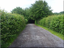 SJ6510 : Bridleway to Limekiln Wood by A Holmes