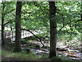 Footbridge over Afon Mawddach at Y Ganllwyd