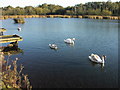 The Raz (Reservoir), Cheslyn Hay