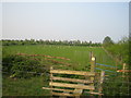 Footpath near Prune Farm Cottages, Edgcott