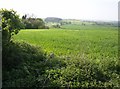 View from the top road