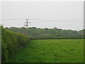 Fields and wood near Grendon Underwood