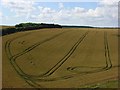 Farmland, Woodford