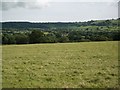 Pasture, looking South towards Batcombe Hill