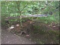 Causeway and Culvert, Chellow Dean, Heaton / Allerton, Bradford