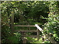 Stile into Birches Copse