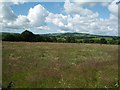 Farmland view at Totnell Corner, south west towards Melbury Bubb