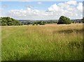 Hayfield and view, Allerton, Bradford