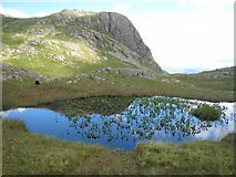 NY2707 : Tarn at the head of Dungeon Ghyll by Oliver Dixon