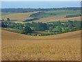 Oil-seed rape on Chain Hill