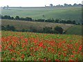 Downland, Stoford