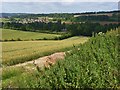 Farmland, Chilhampton