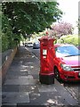 Osborne Avenue: ornate postbox and matching car