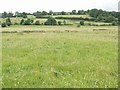 Across the Fields at Higher Waterston