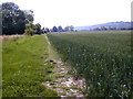 Footpath Trottiscliffe