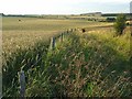 Farmland near Stonehenge