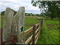 Footpath in Bishop Thornton