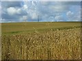 Farmland, Netheravon