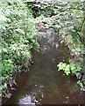 Beck running under Floreat Close