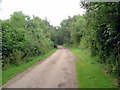 Track into Grafton Park Wood