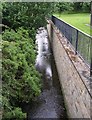 Stream behind Kirkgate Surgery, Birstall