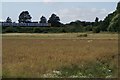 Fields and rails, Maghull