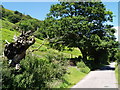 View from Old Blaina Road