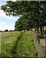 Footpath off Northedge Lane, Coley