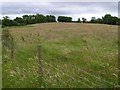 Granshagh Big Townland