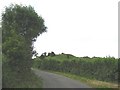 N9571 : Motte Near Slane by JP