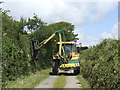 Hedge trimming